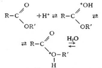Reakcije hidrolize estera
