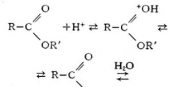 Hydrolysis of esters reactions